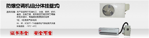 防爆空调生产厂家格力防爆空调2P壁挂式2匹柜机防爆空调证书齐全图片